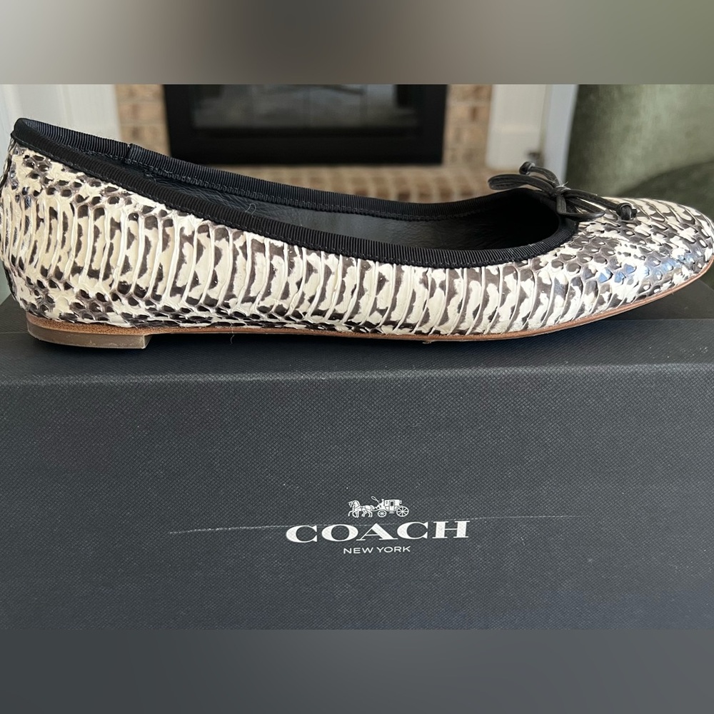 Coach Flatiron Ballet Flats - Black and White Snakeskin - Picture 6 of 10